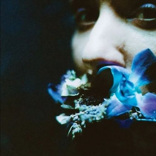 Reaching for Indigo cover art