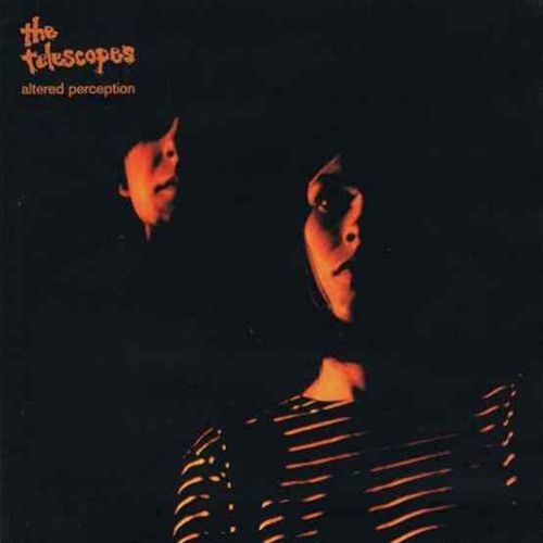 Altered Perception cover art