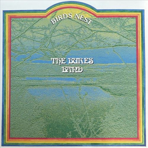 Birds Nest cover art