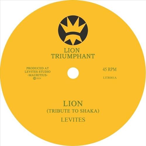 Lion: Tribute to Shaka cover art