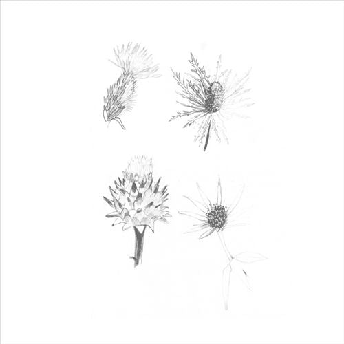 Distels cover art