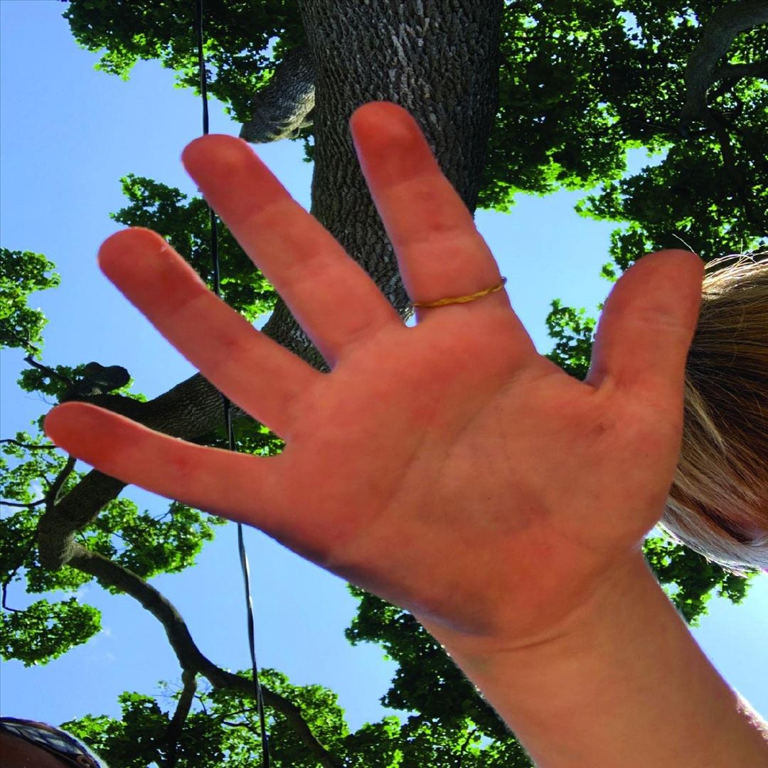 Bonjourno My Friends cover art