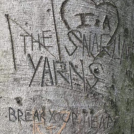 Break Your Heart cover art