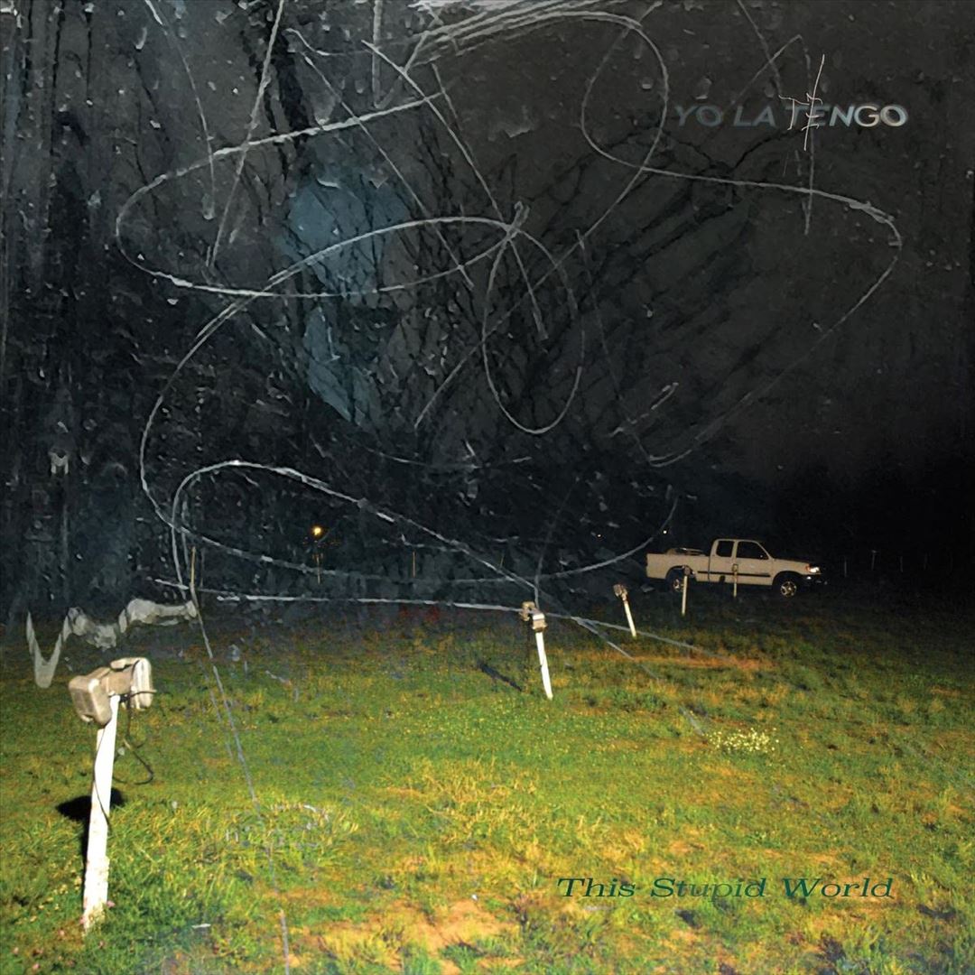 This Stupid World cover art