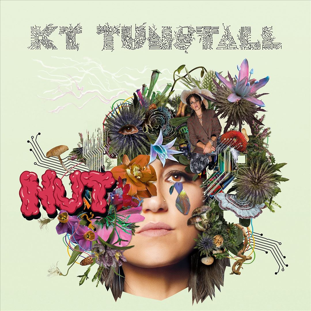 Nut cover art
