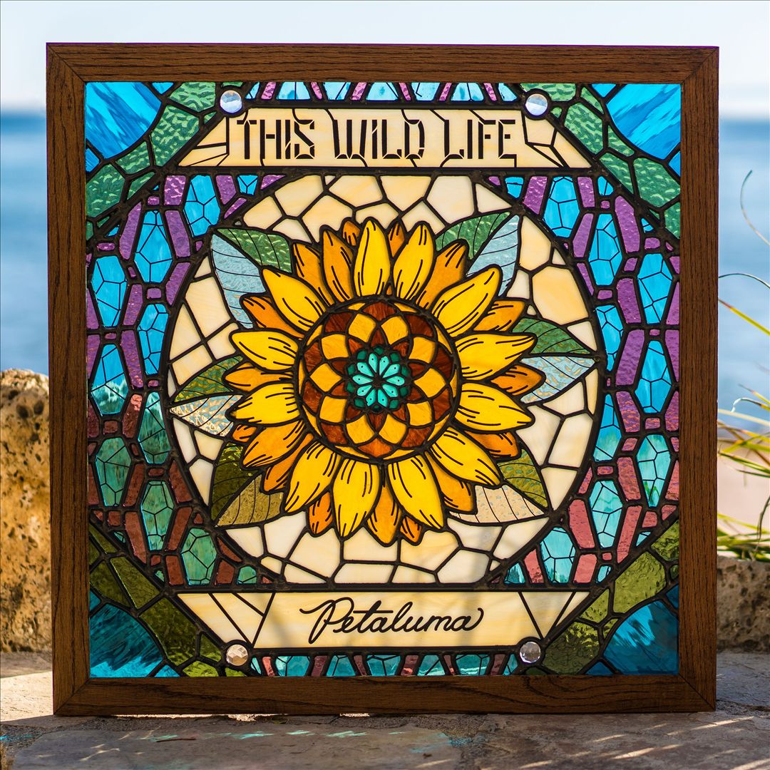 Petaluma cover art