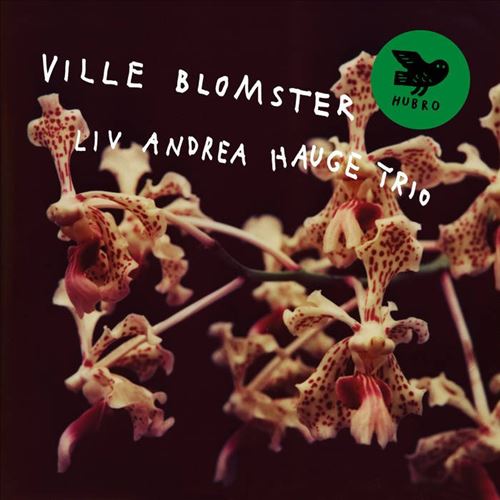 Ville Blomster cover art