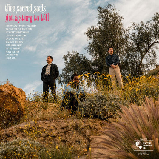 Got a Story to Tell cover art