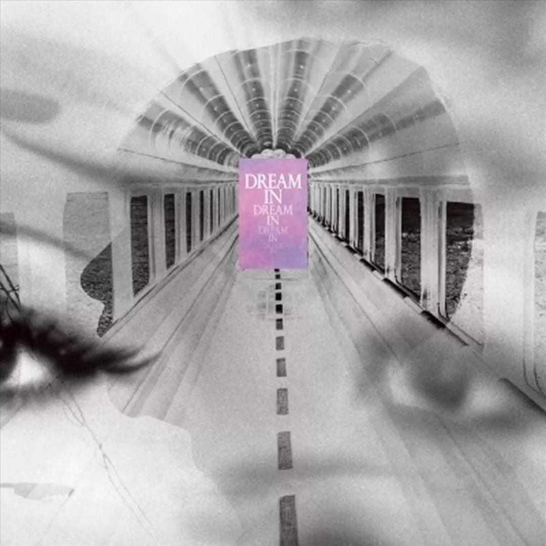 Dream in Dream cover art