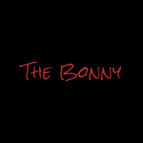 Dark Days/Bonny  cover art