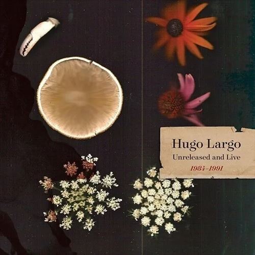 Huge, Large, and Electric: Hugo Largo 1984-1991 cover art