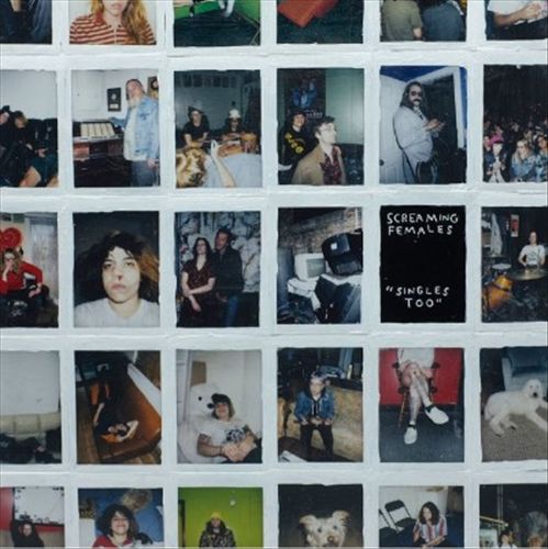 Singles Too cover art