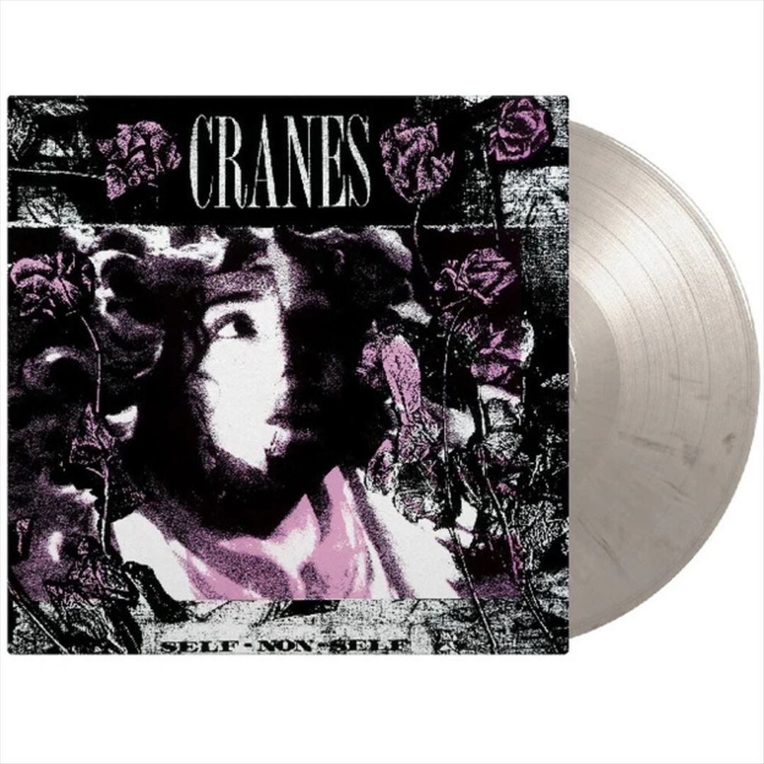 Self-Non-Self cover art