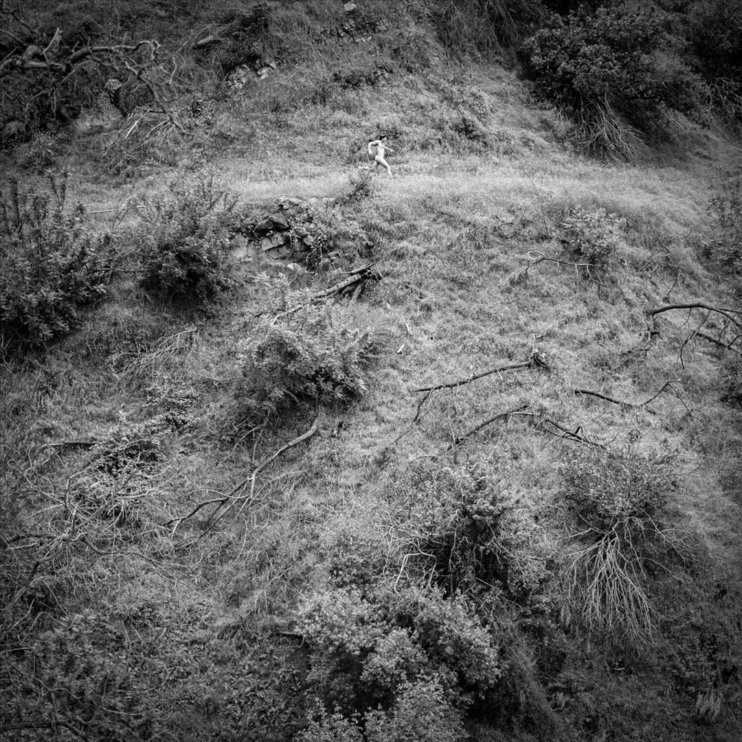 Animal Poem cover art