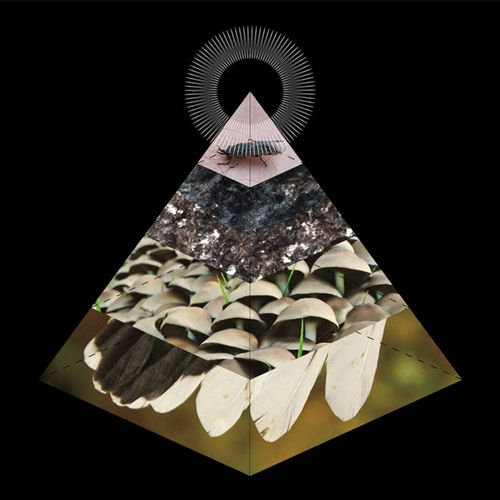 Apophenia cover art