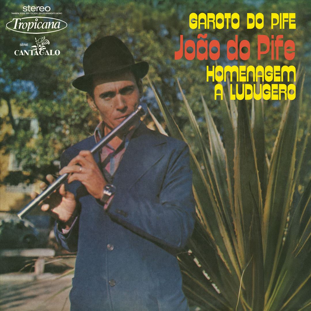 Garoto Do Pife cover art