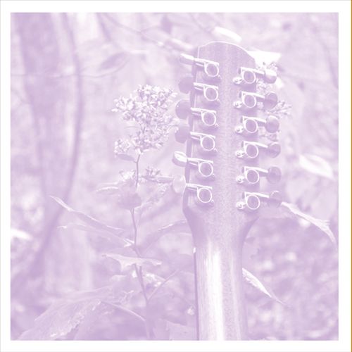 VDSQ: Solo Acoustic, Vol. 12 cover art