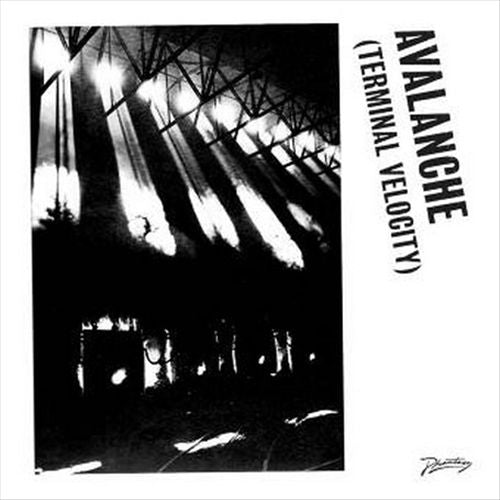 Avalanche (Terminal Velocity) cover art