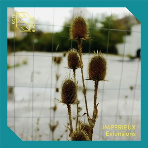 Extensions cover art