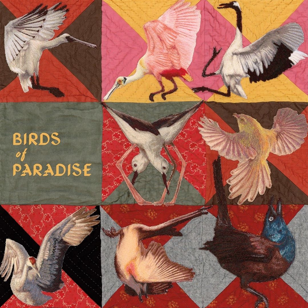 Birds of Paradise [Pink] cover art