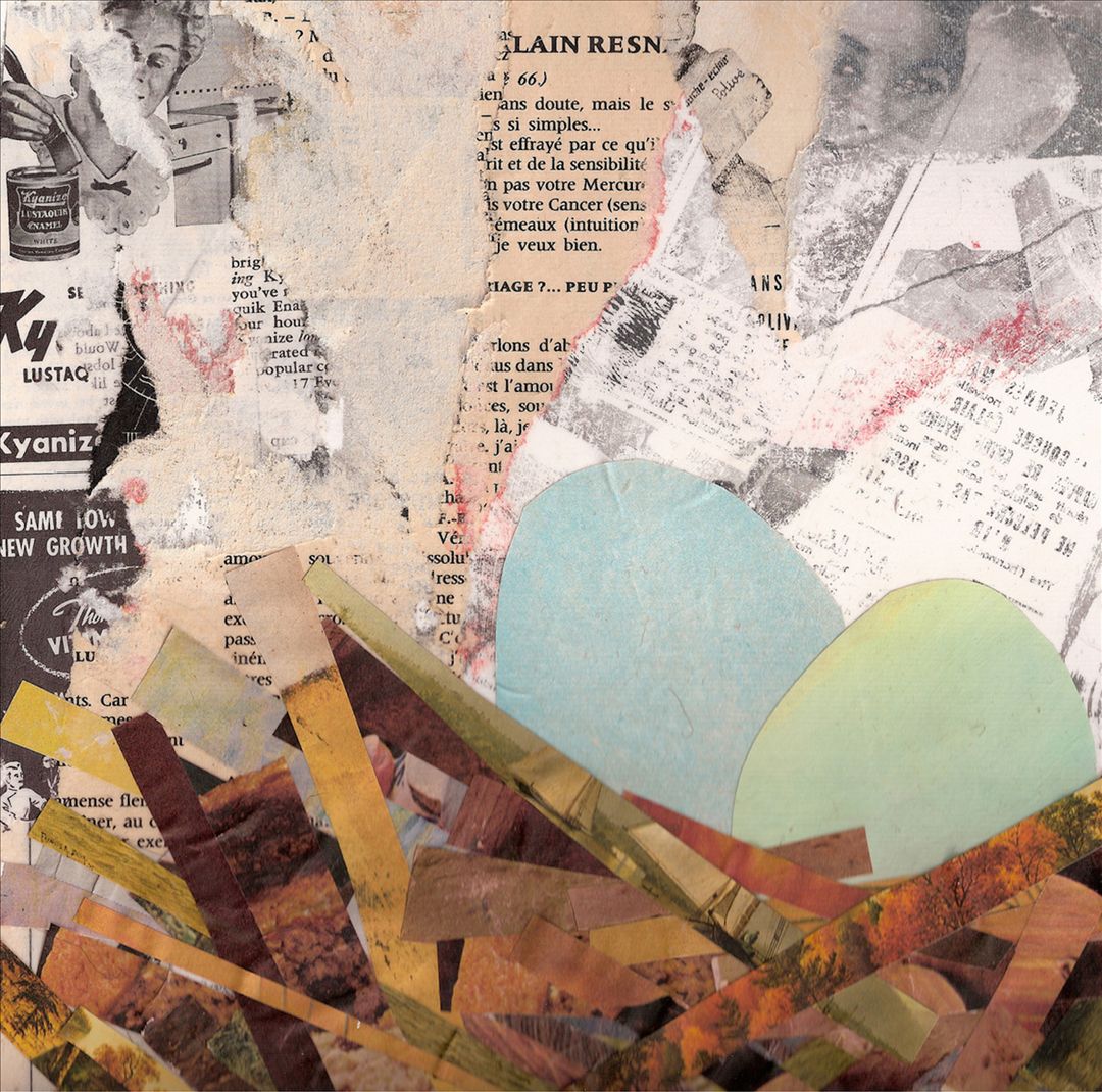 Nests cover art