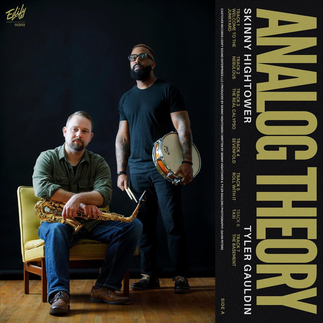 Analog Theory cover art