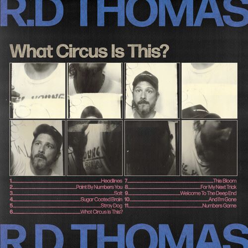 What Circus Is This? cover art