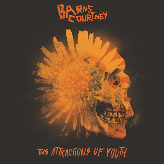 Attractions of Youth cover art