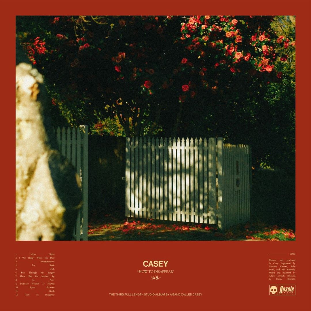 How to Disappear cover art