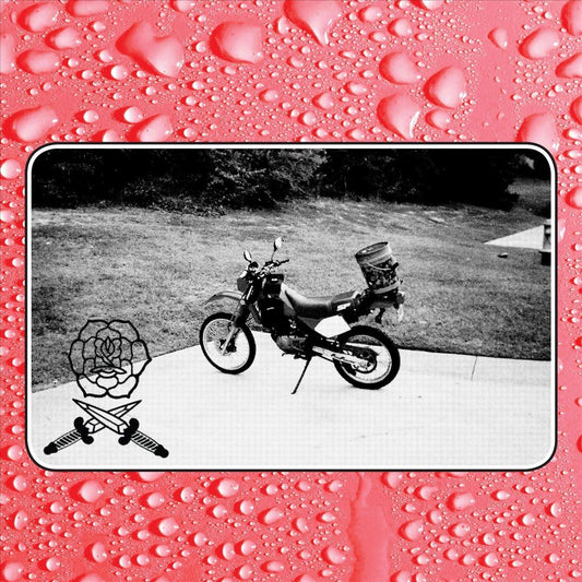 Say I Won't cover art