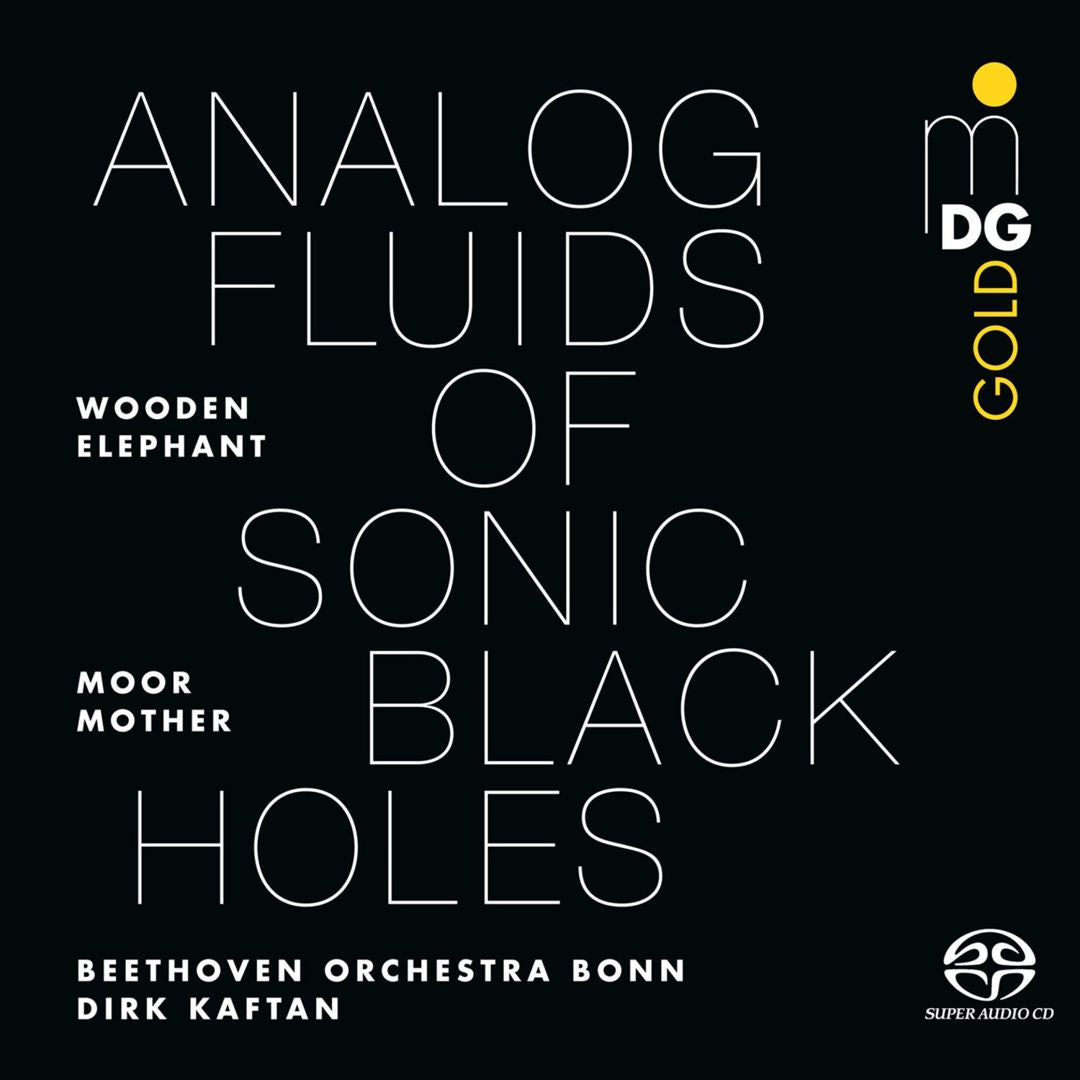 Analog Fluids of Sonic Black Holes cover art