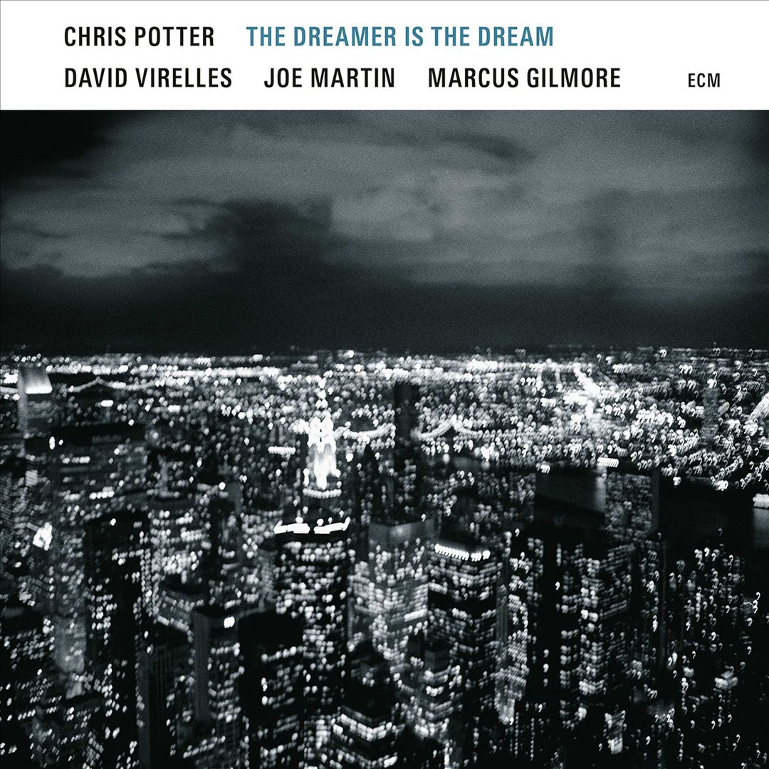 The Dreamer Is the Dream [LP] cover art