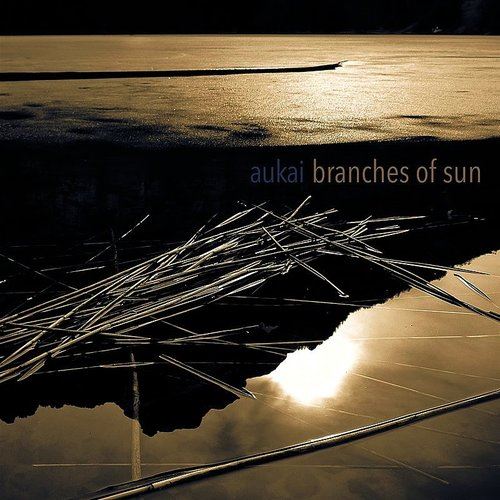 Branches of Sun cover art
