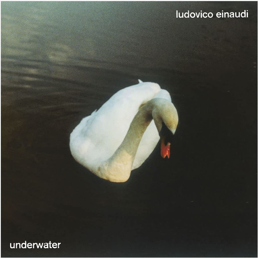 Underwater cover art