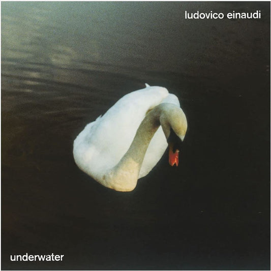 Underwater cover art