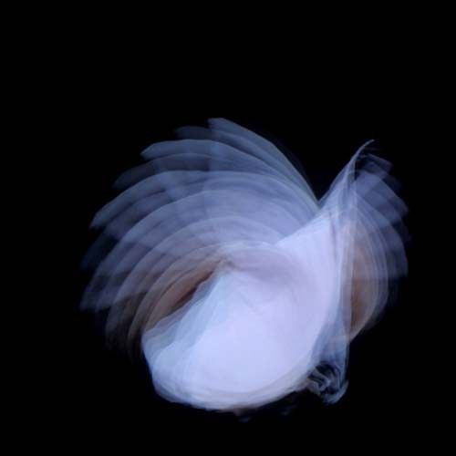 Feathermagnetik cover art
