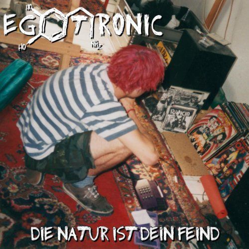Die Natur Ist Dein Fei cover art