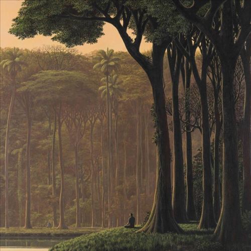 Natura Sonora cover art