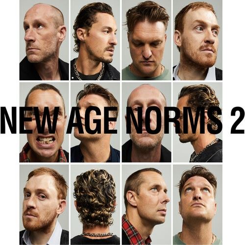 New Age Norms, Vol. 2 cover art
