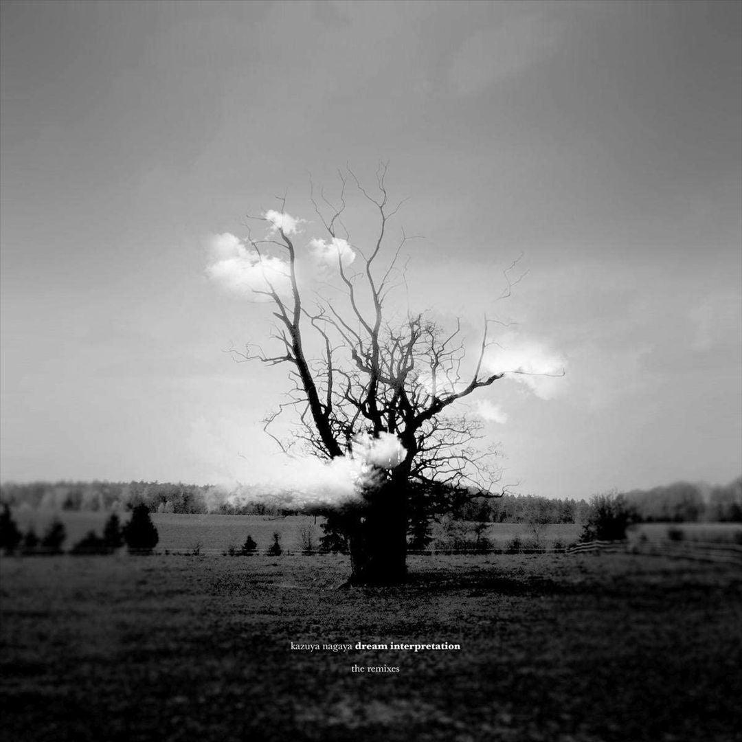 Dream Interpretation [The Remixes] cover art