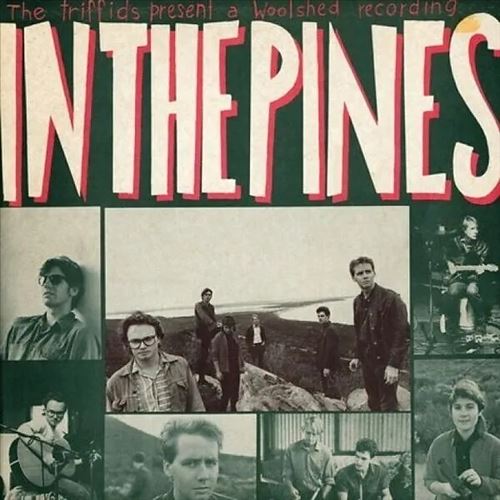 In the Pines cover art