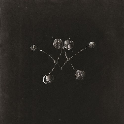 Nowhere Now cover art