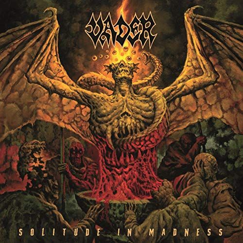 Solitude in Madness cover art