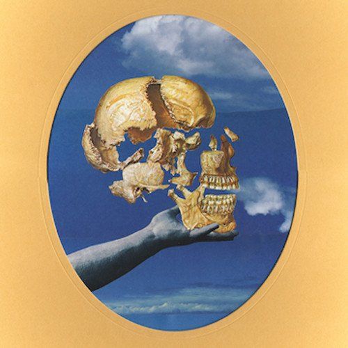 Skullflower cover art