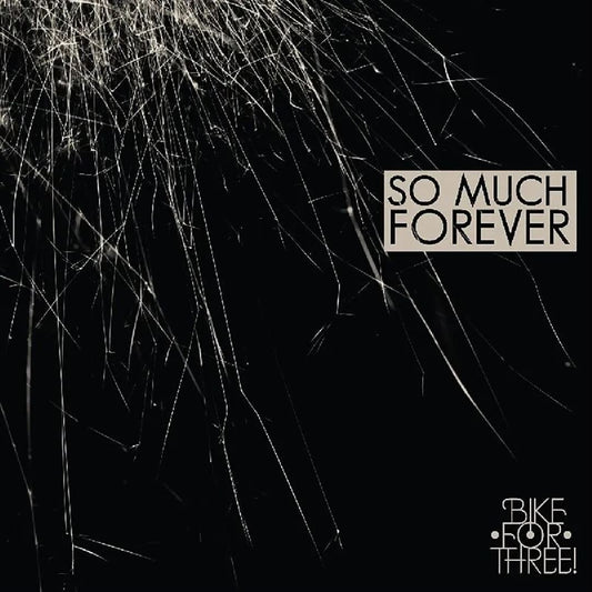So Much Forever cover art