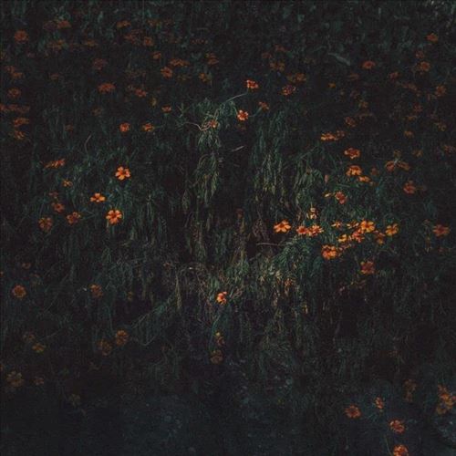 Estarantos cover art