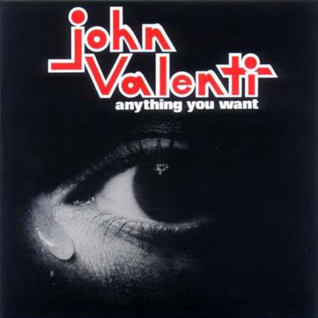 Anything You Want cover art