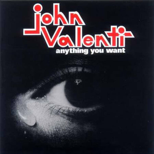 Anything You Want cover art