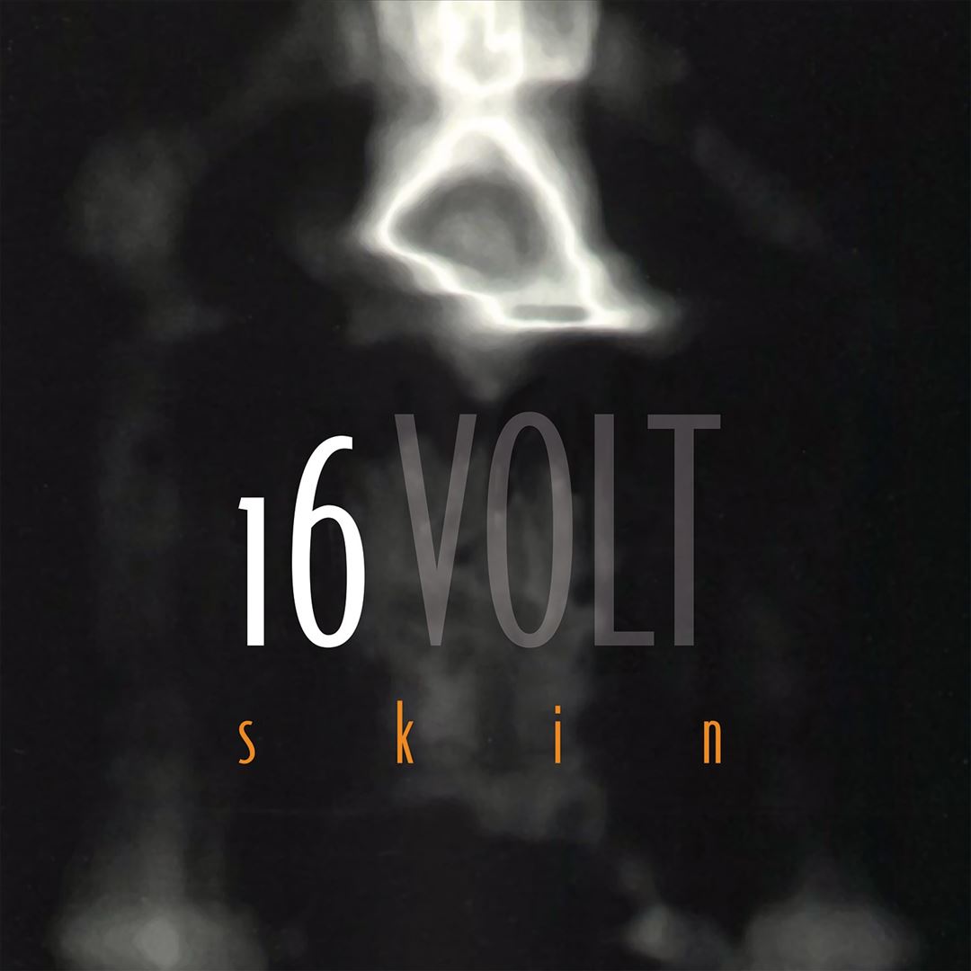 Skin cover art
