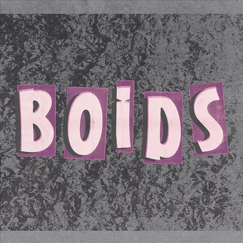 Boids cover art